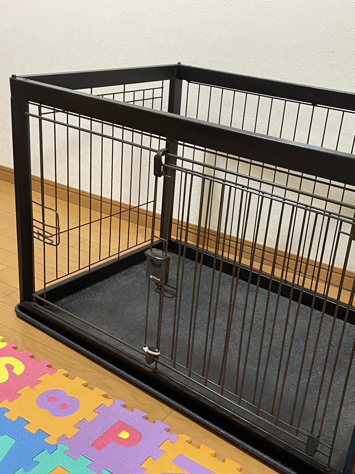 愛犬を留守番させる時に気をつけていること｜一度だけヒヤッとしたMashの脱走事件